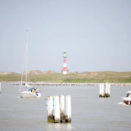 Lägenhet In Near The Beach, Cleaning Included Nieuwpoort